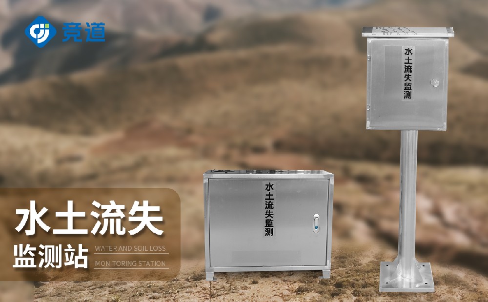 1702546117186583.jpg 5.jpg